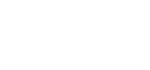 City of Minden, Louisiana - Brick Logo